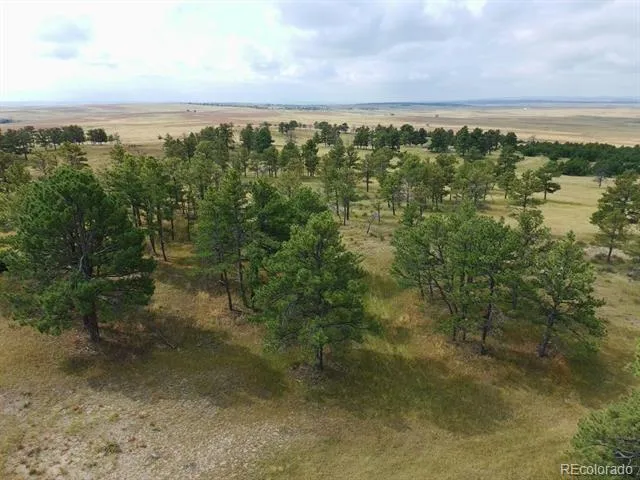0001 COUNTY ROAD 93 Calhan, CO 80808