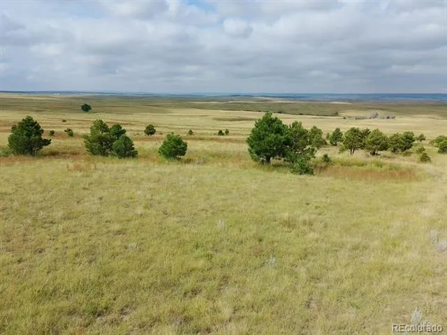 0001 COUNTY ROAD 93 Calhan, CO 80808
