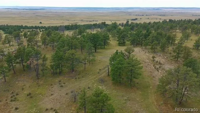 0001 COUNTY ROAD 93 Calhan, CO 80808