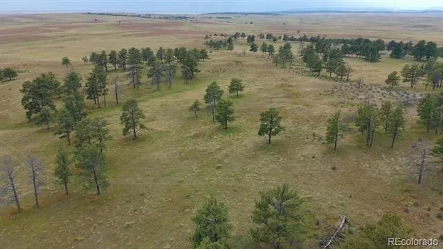 0001 COUNTY ROAD 93 Calhan, CO 80808