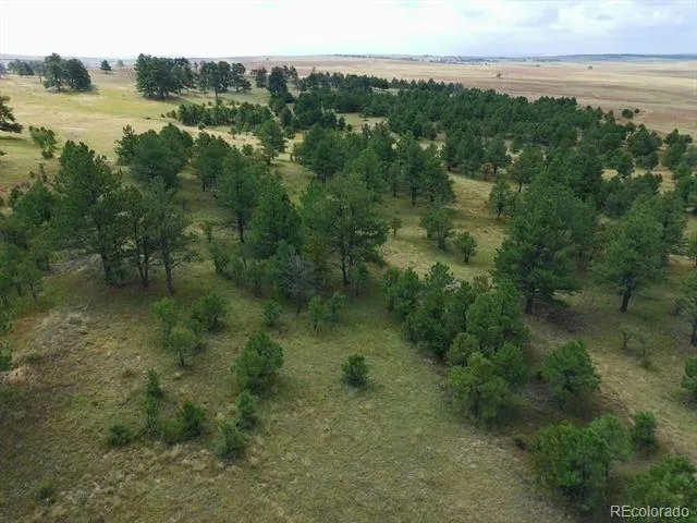 0001 COUNTY ROAD 93 Calhan, CO 80808