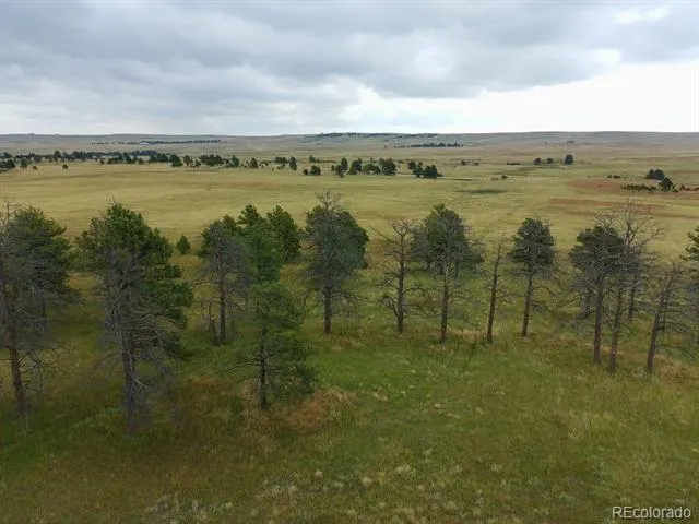 0001 COUNTY ROAD 93 Calhan, CO 80808