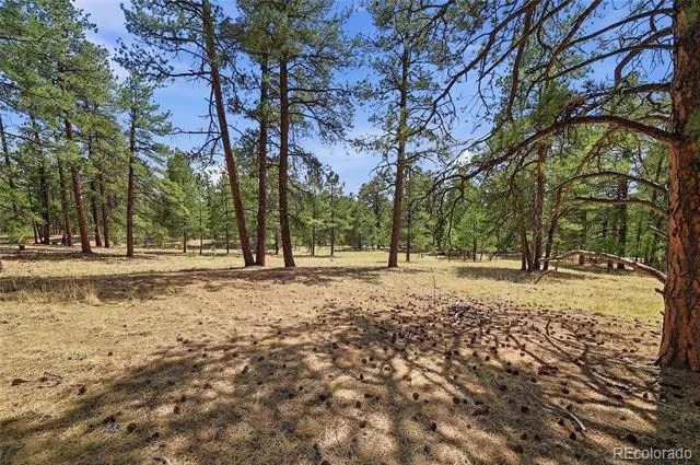35446 Running Brook Lane Elizabeth, CO 80107