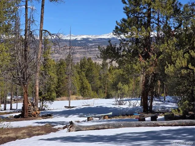 Pan Ark Lots 20 & 29 Twin Lakes, CO 81251