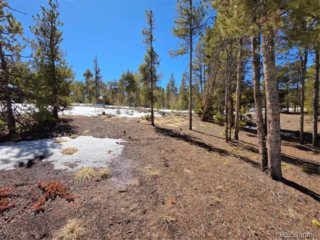 Pan Ark Lots 20 & 29 Twin Lakes, CO 81251