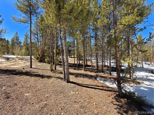 Pan Ark Lots 20 & 29 Twin Lakes, CO 81251
