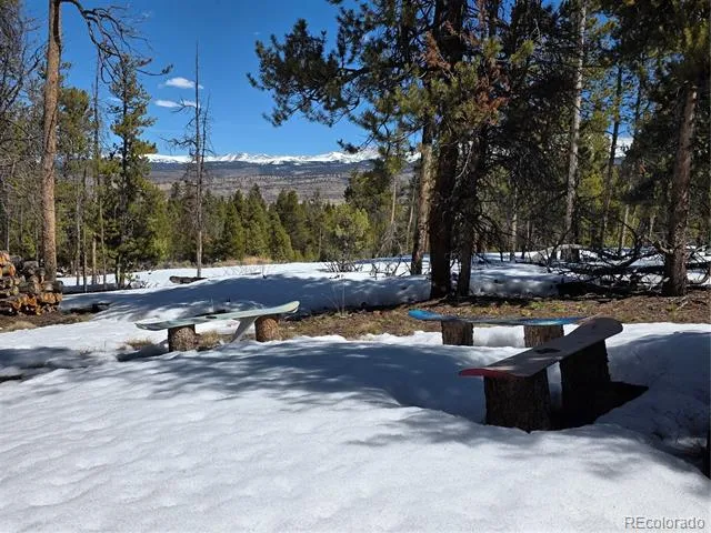 Pan Ark Lots 20 & 29 Twin Lakes, CO 81251