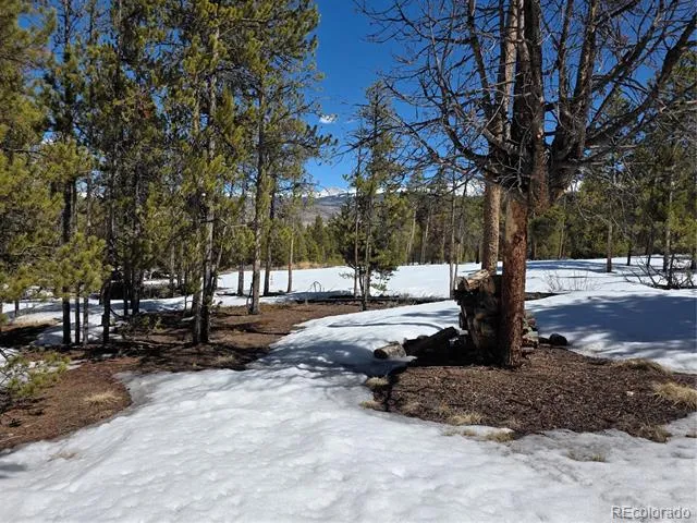 Pan Ark Lots 20 & 29 Twin Lakes, CO 81251