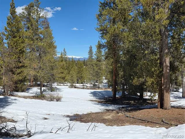 Pan Ark Lots 20 & 29 Twin Lakes, CO 81251