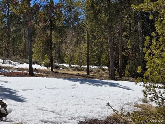 Pan Ark Lots 20 & 29 Twin Lakes, CO 81251