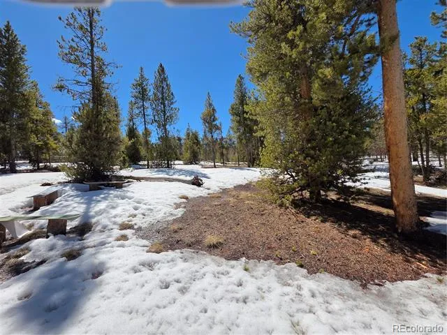 Pan Ark Lots 20 & 29 Twin Lakes, CO 81251