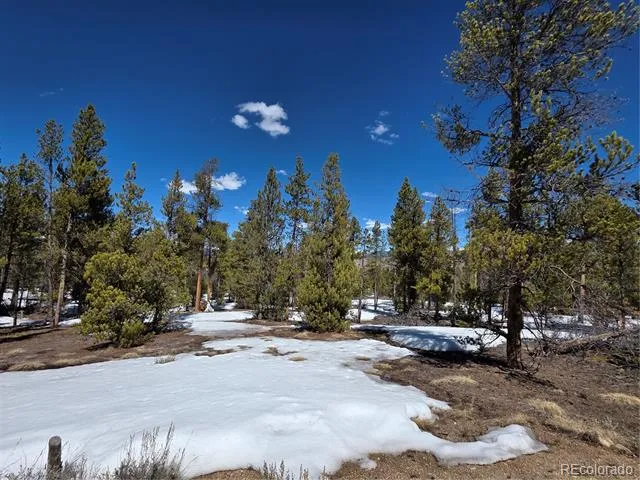 Pan Ark Lots 20 & 29 Twin Lakes, CO 81251