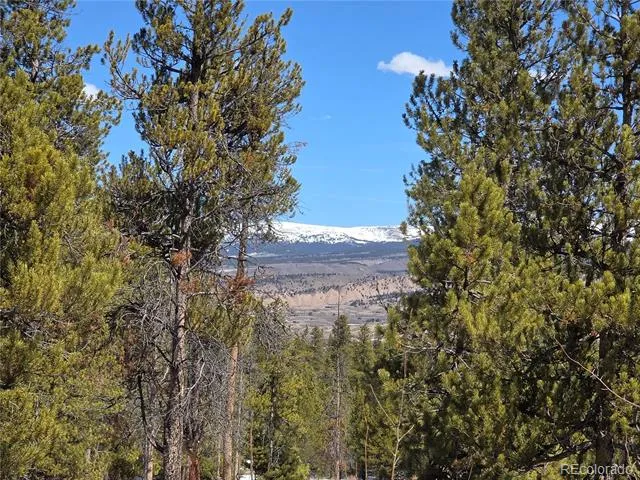 Pan Ark Lots 20 & 29 Twin Lakes, CO 81251