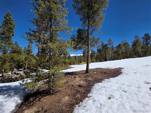 Pan Ark Lots 20 & 29 Twin Lakes, CO 81251
