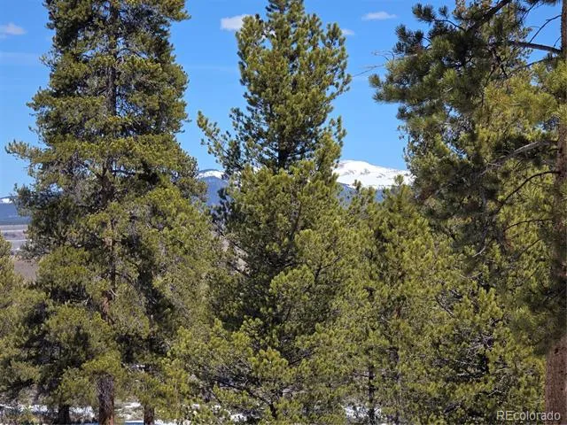Pan Ark Lots 20 & 29 Twin Lakes, CO 81251