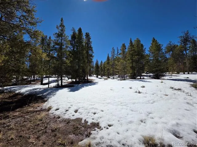 Pan Ark Lots 20 & 29 Twin Lakes, CO 81251