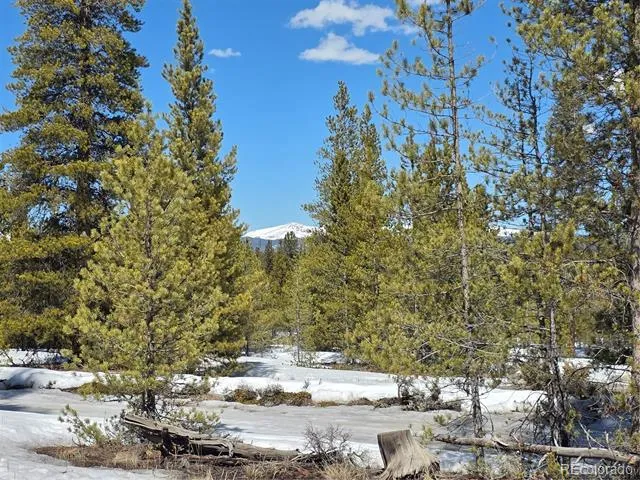 Pan Ark Lots 20 & 29 Twin Lakes, CO 81251