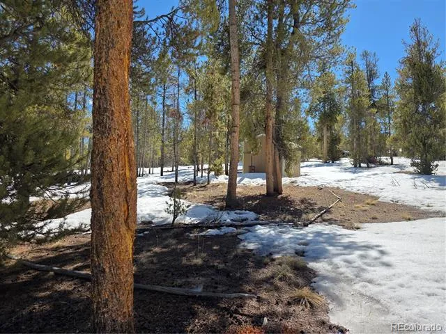 Pan Ark Lots 20 & 29 Twin Lakes, CO 81251