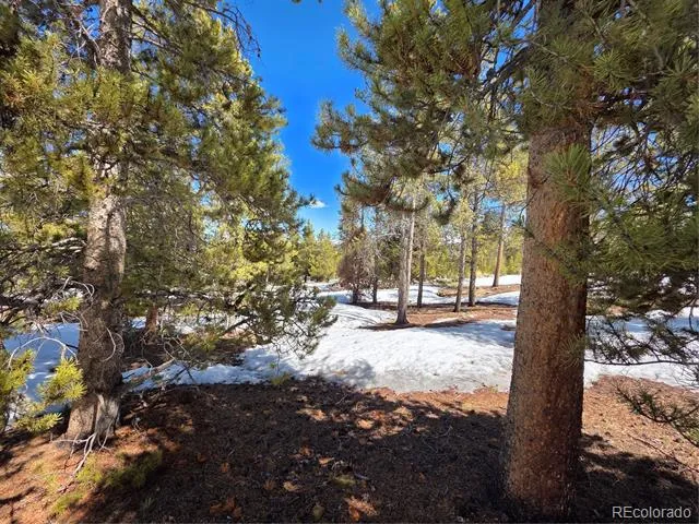 Pan Ark Lots 20 & 29 Twin Lakes, CO 81251