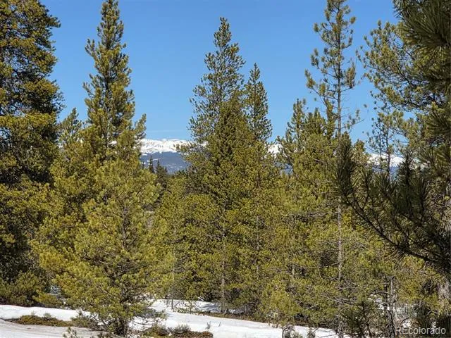 Pan Ark Lots 20 & 29 Twin Lakes, CO 81251