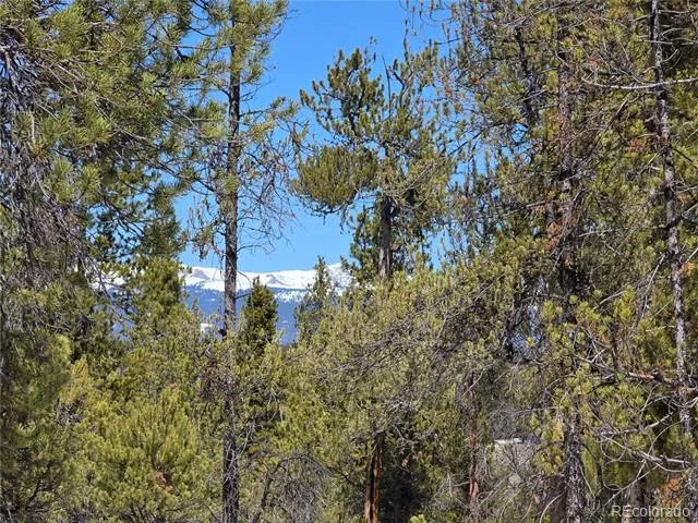 Pan Ark Lots 20 & 29 Twin Lakes, CO 81251