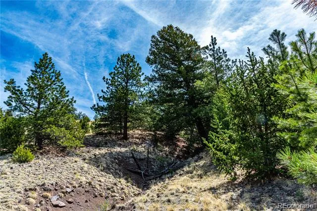 1282 County Road 169a Cotopaxi, CO 81223
