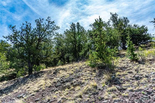 1282 County Road 169a Cotopaxi, CO 81223