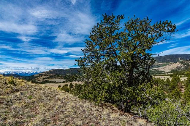 1282 County Road 169a Cotopaxi, CO 81223