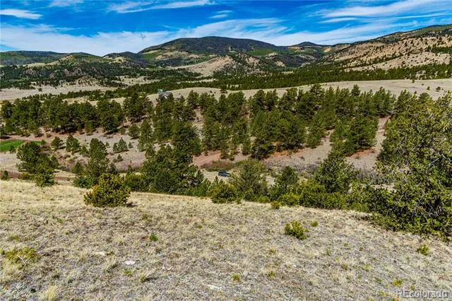 1282 County Road 169a Cotopaxi, CO 81223