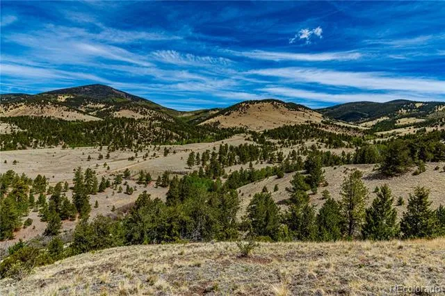1282 County Road 169a Cotopaxi, CO 81223