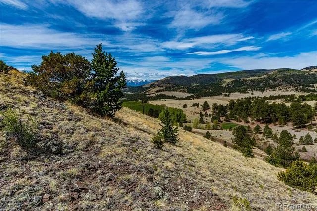 1282 County Road 169a Cotopaxi, CO 81223