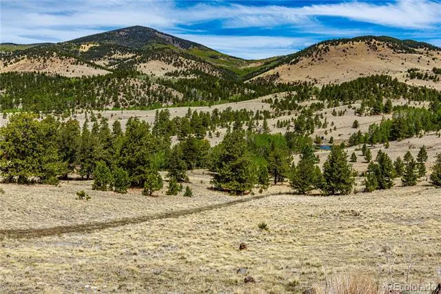 1282 County Road 169a Cotopaxi, CO 81223