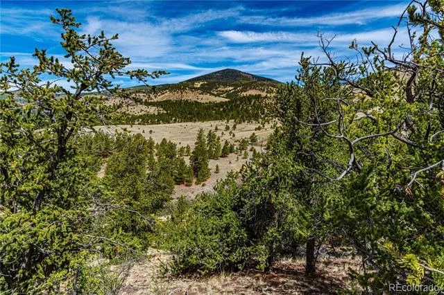 1282 County Road 169a Cotopaxi, CO 81223