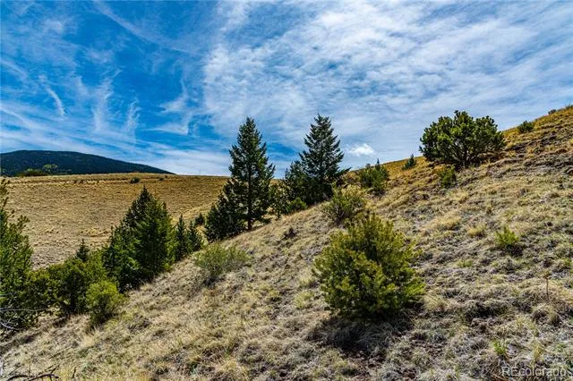 1282 County Road 169a Cotopaxi, CO 81223