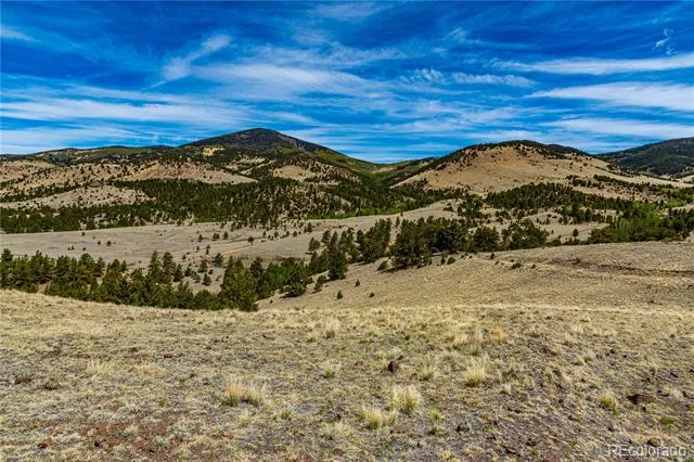 1282 County Road 169a Cotopaxi, CO 81223