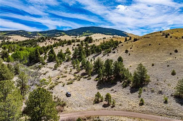 1282 County Road 169a Cotopaxi, CO 81223