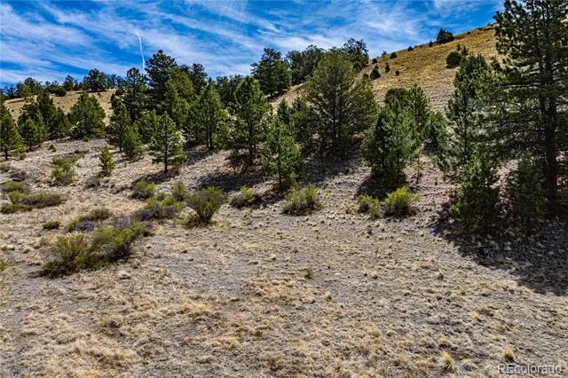 1282 County Road 169a Cotopaxi, CO 81223