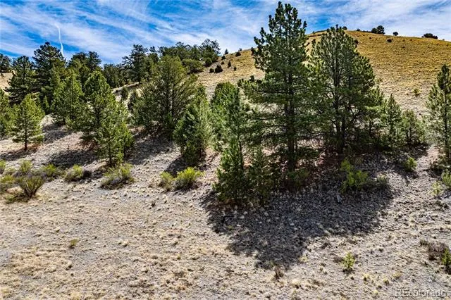 1282 County Road 169a Cotopaxi, CO 81223