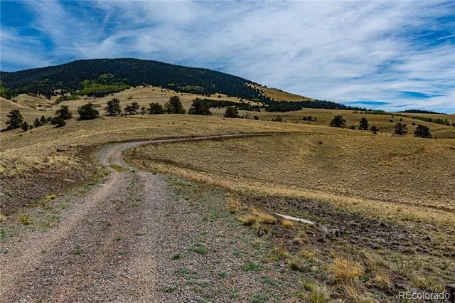 1282 County Road 169a Cotopaxi, CO 81223