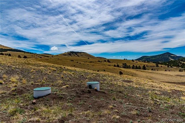 1282 County Road 169a Cotopaxi, CO 81223