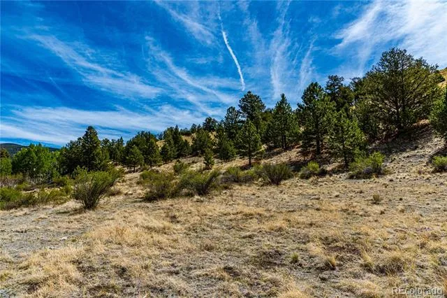 1282 County Road 169a Cotopaxi, CO 81223
