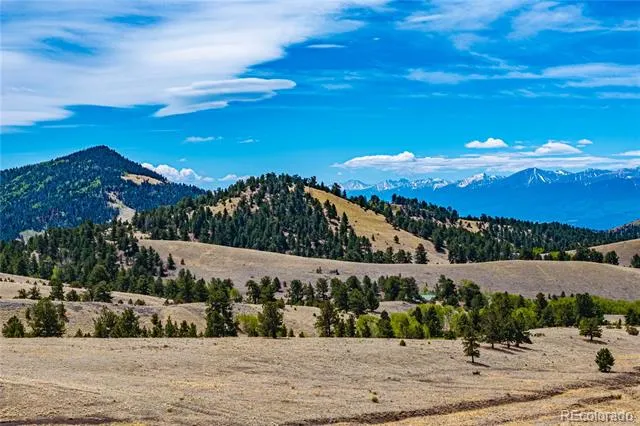 1282 County Road 169a Cotopaxi, CO 81223
