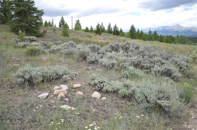 5697 Highway 24 Leadville, CO 80461