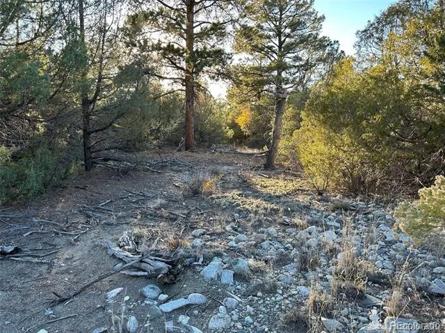Big Bear Road Mosca, CO 81146