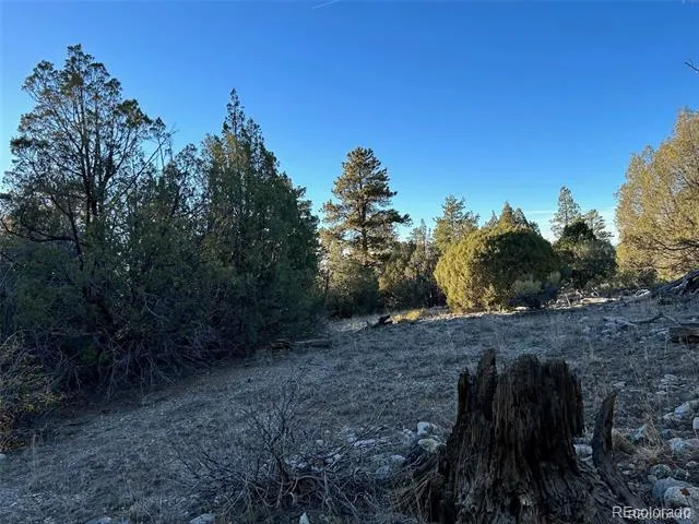Big Bear Road Mosca, CO 81146