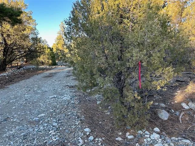 Big Bear Road Mosca, CO 81146