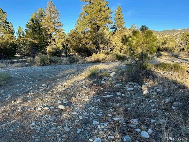 Big Bear Road Mosca, CO 81146