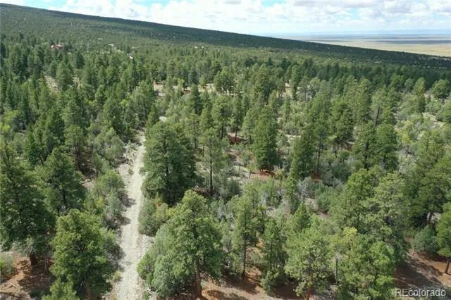 Big Bear Road Mosca, CO 81146