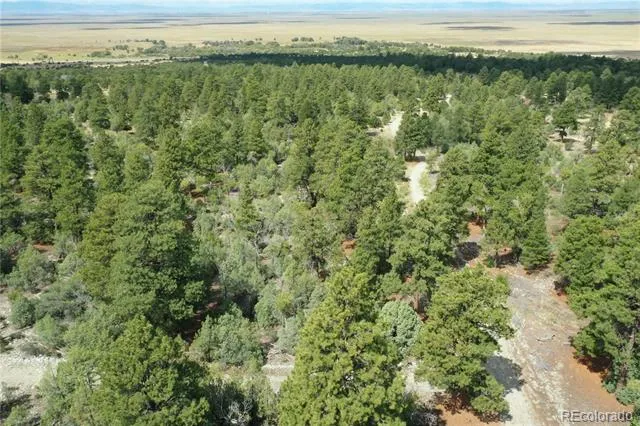 Big Bear Road Mosca, CO 81146