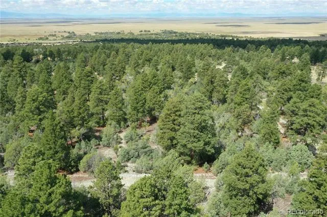 Big Bear Road Mosca, CO 81146